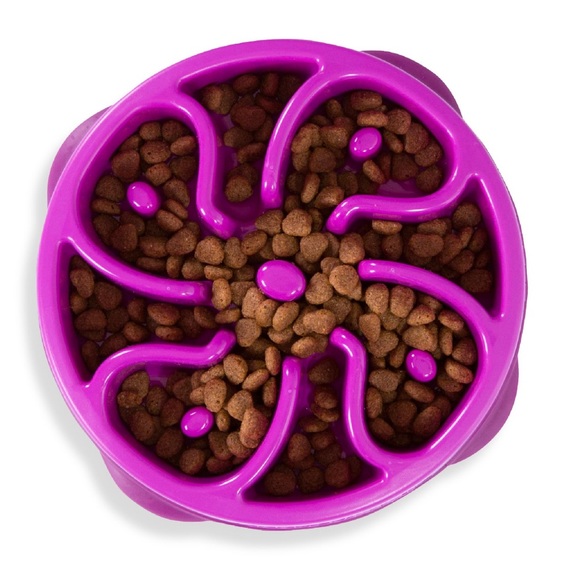 🐶 NIB Dog Slow Feeder Bowl 🐶 - Picture 7 of 7